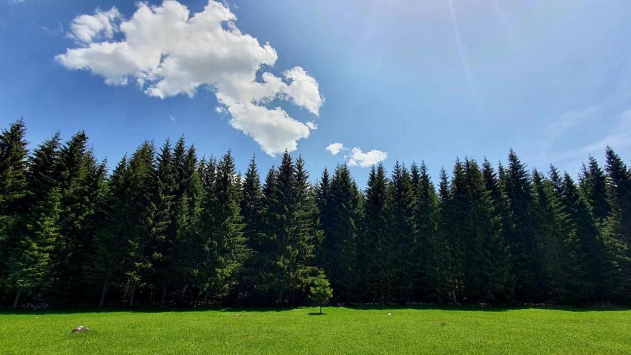 ŽabljakRajska Suma别墅 外观 照片