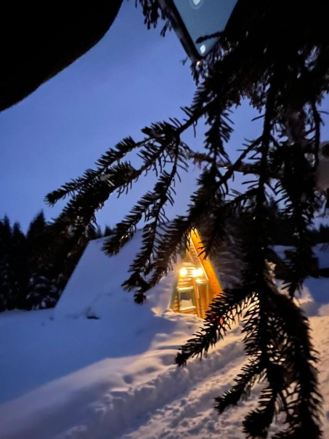 ŽabljakRajska Suma别墅 外观 照片