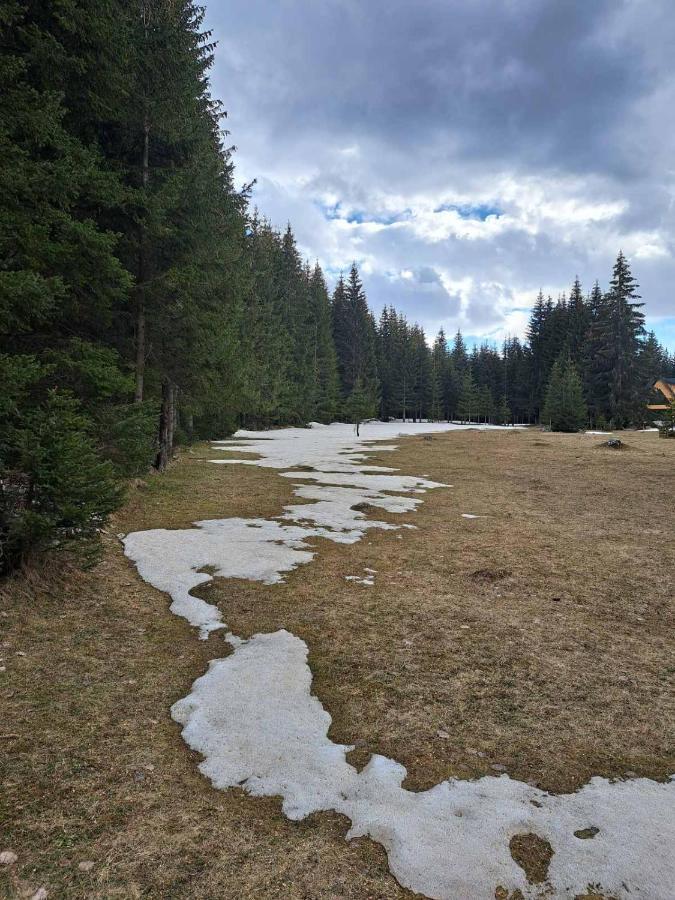 ŽabljakRajska Suma别墅 外观 照片
